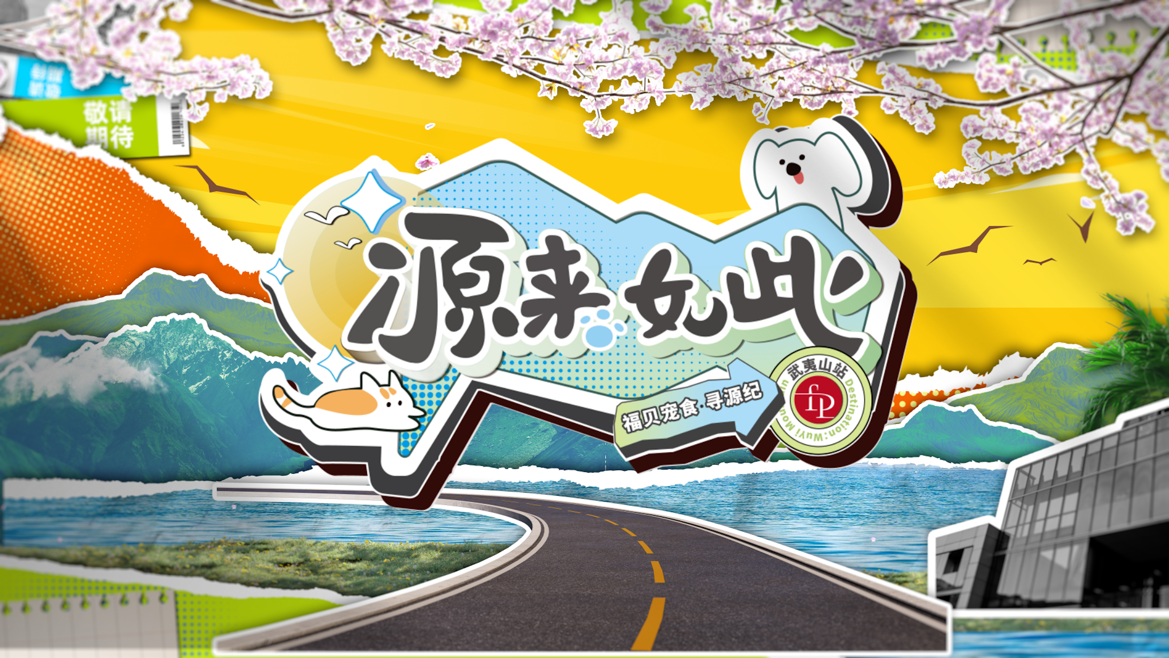 打破常規，用生動的方式傳遞價值——福貝寵食《尋源紀》微綜藝正式上線